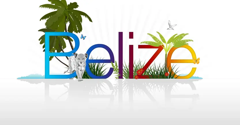 A to Z of Setting up A Holding Company in Dubai