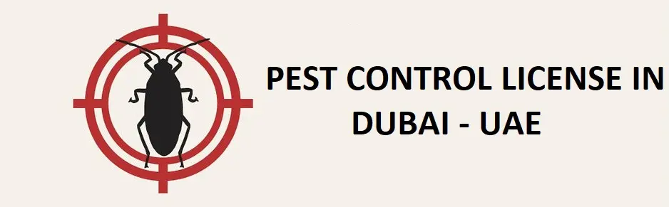 Benefits to setup small businesses in UAE