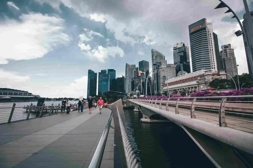 What Is PRO Service And Why It Matters In UAE