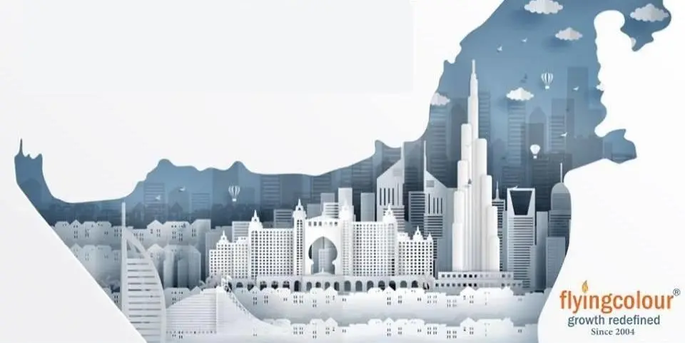 Complete Guide to Business Setup in UAE Free Zones