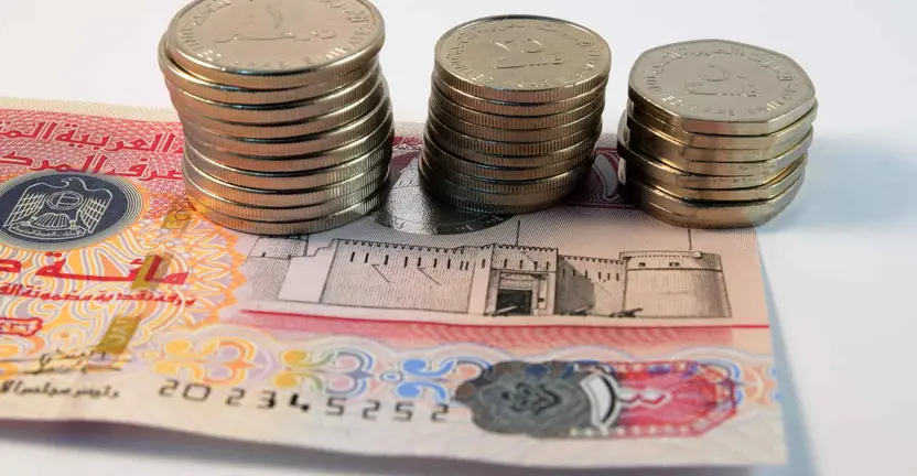 Dh30 Billion Plan Approved to Boost UAE Economy