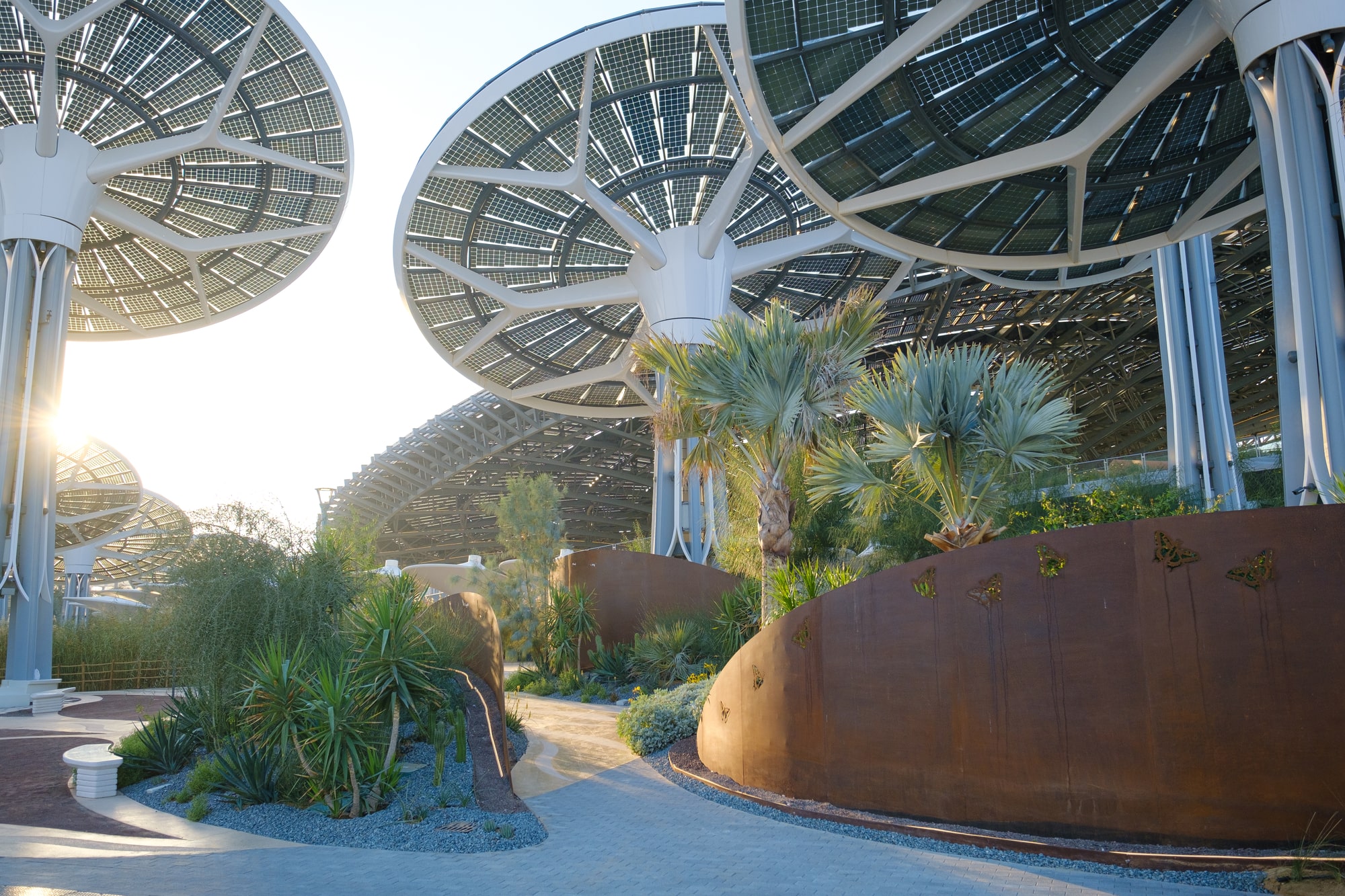 Impact of EXPO 2020 on IT Businesses in Dubai | Flyingcolour