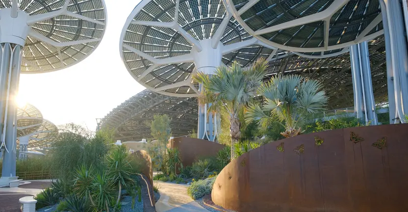Impact of  EXPO 2020 on IT Businesses in Dubai