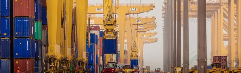 UAE India Trade To Reach 100 Billion Dollars Yearly