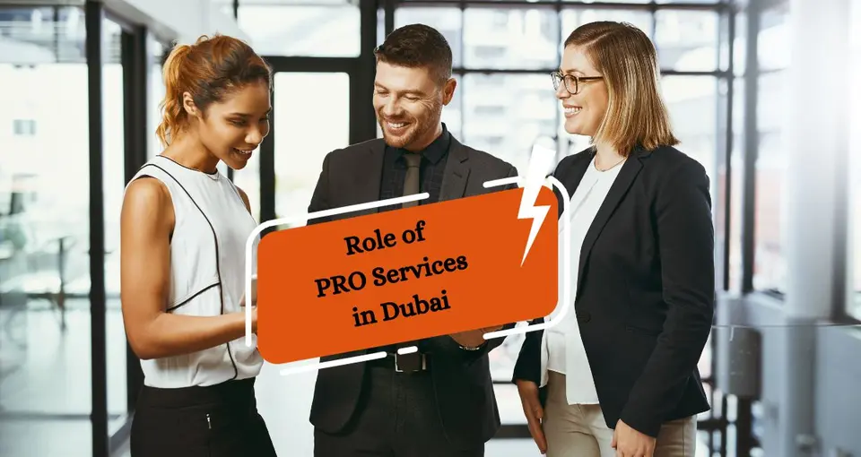 What is the Role of PRO Services in Dubai?