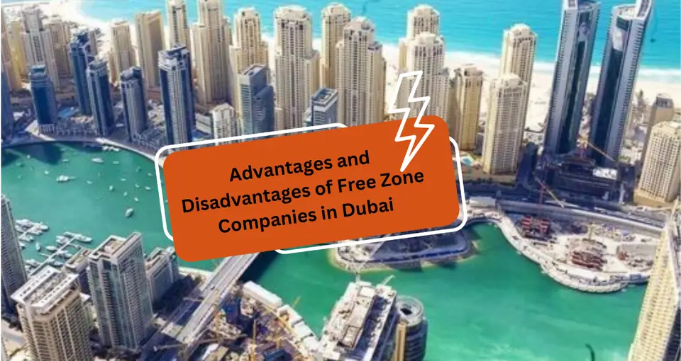 Advantages and Disadvantages of Free Zone Companies in Dubai