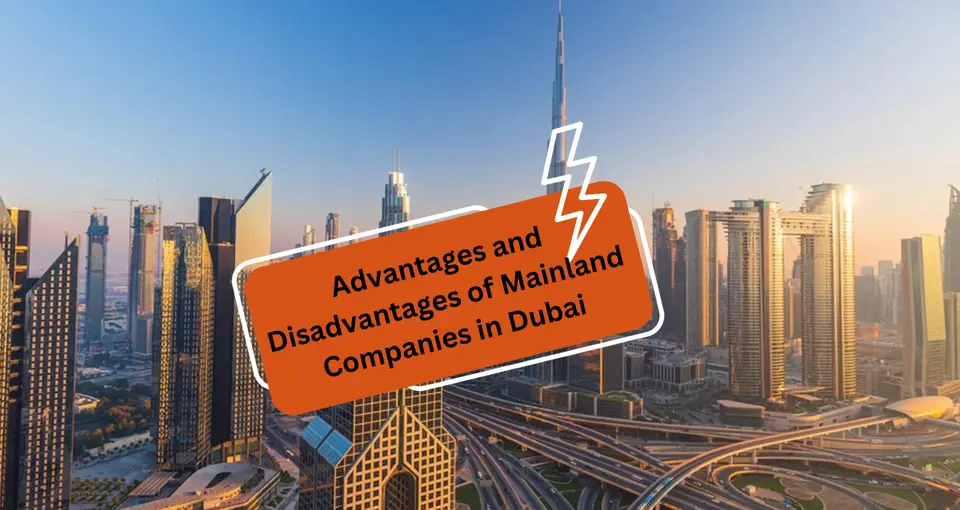 Advantages and Disadvantages of Mainland Companies in Dubai