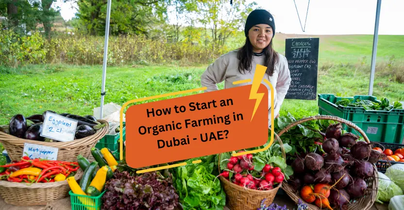 How to Start an Organic Farming in Dubai - UAE?