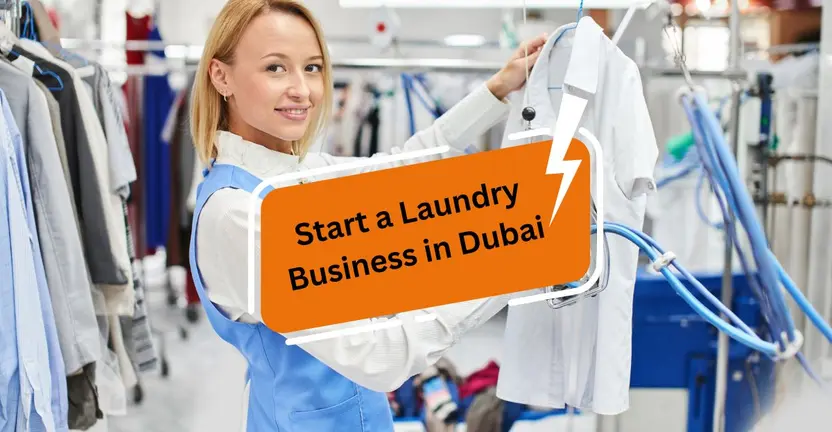 How to Start a Laundry Business in Dubai?