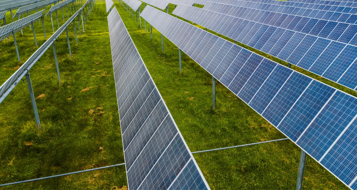 Renewable Energy Business Opportunity