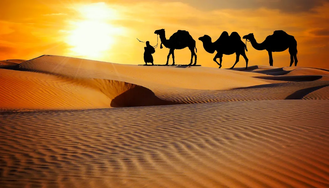 How To Open A Desert Safari Tour Business In Dubai