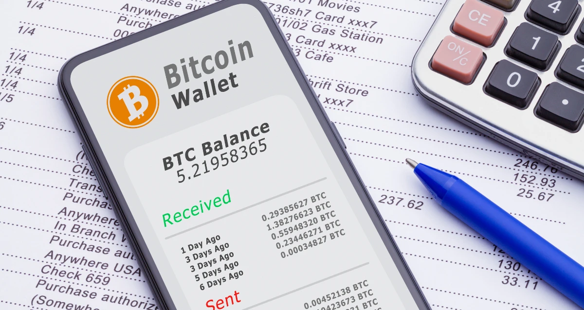 The 16 Best Crypto Wallets in the UAE 2025