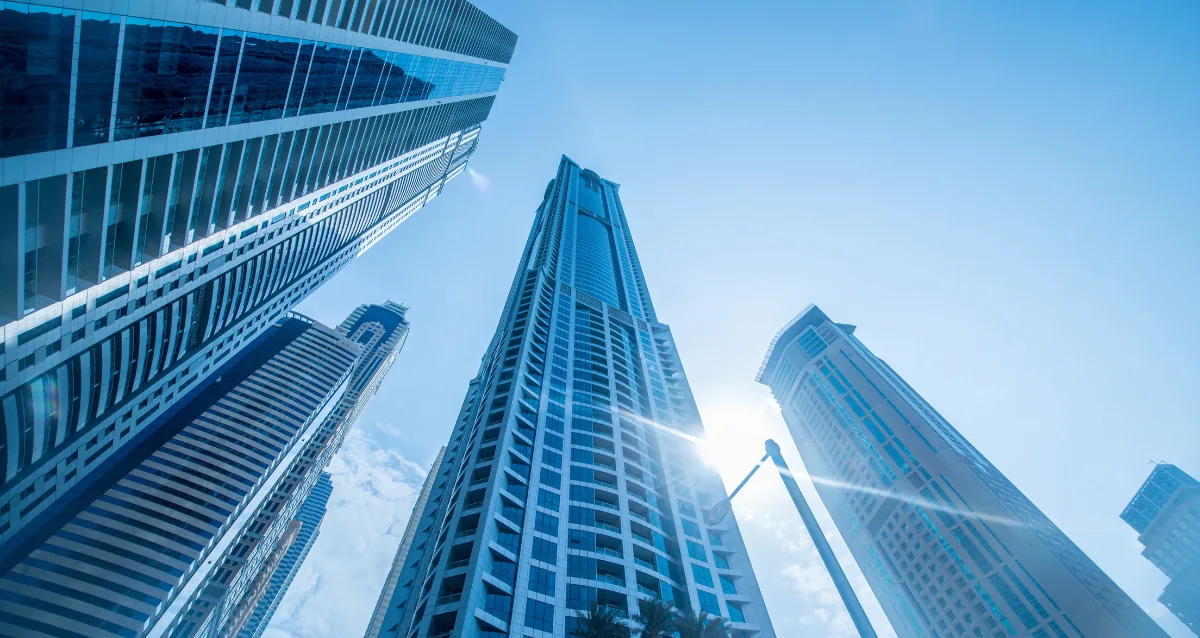 What Are the Differences Between FZE and FZCO in Dubai