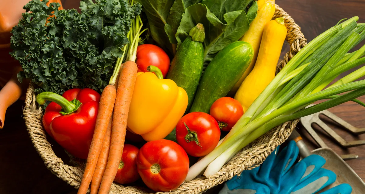 Food Trade Business in Dubai Guide