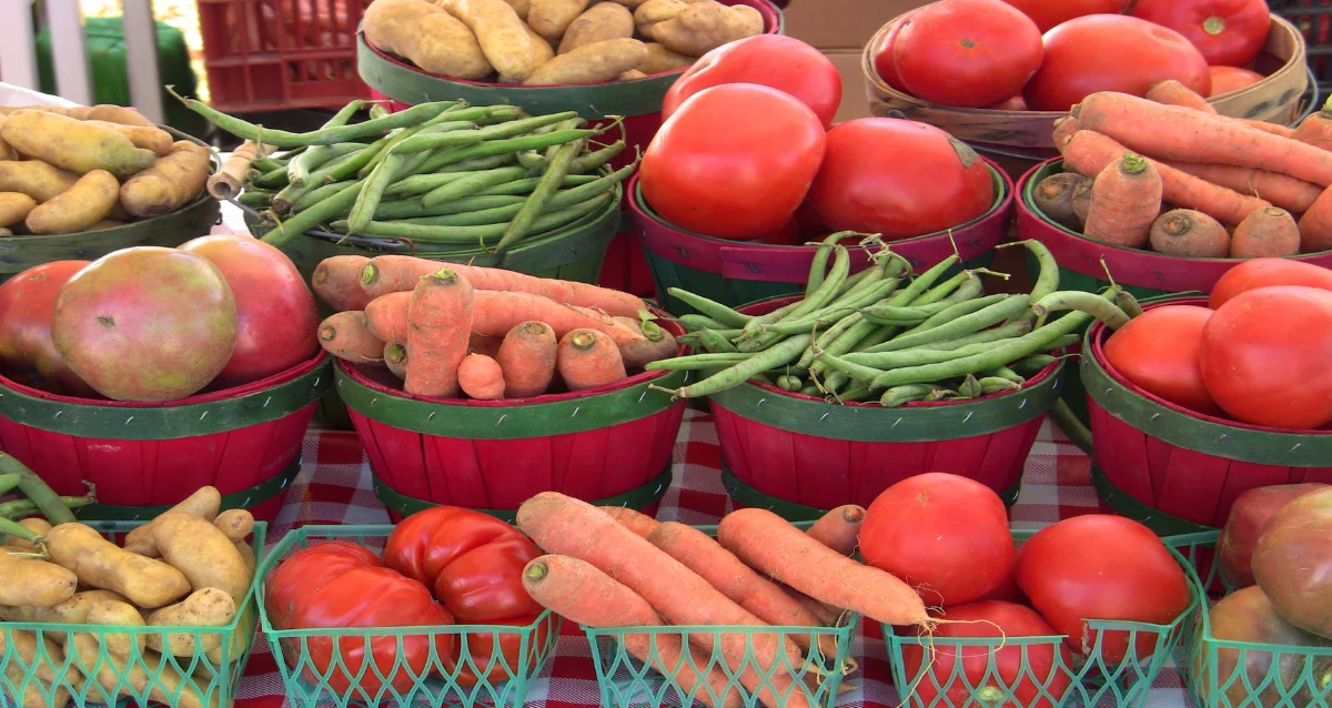 Food Trade Business in Dubai Guide