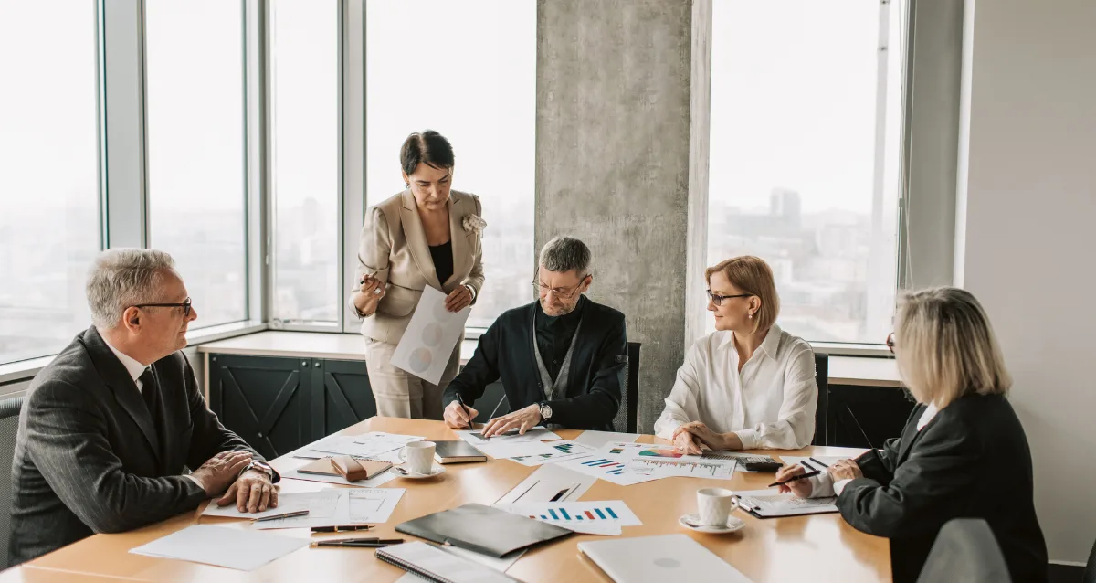 What Is Pro Meaning in UAE Explained