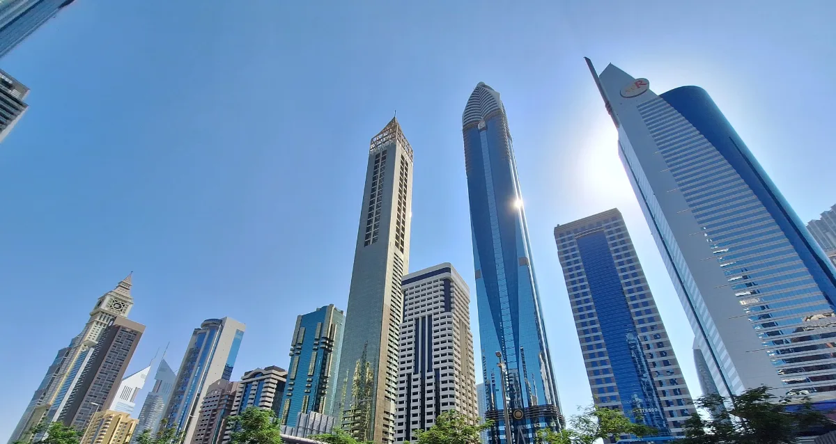 What is a Company Registration Number in the UAE