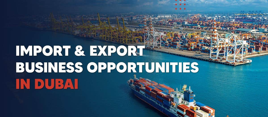 Import Export Business in Dubai 2026