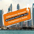 The Differences Between Mainland and Free Zone Companies in Dubai