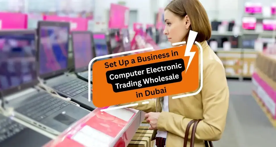 Set Up a Business in Computer Electronic Trading Wholesale in Dubai
