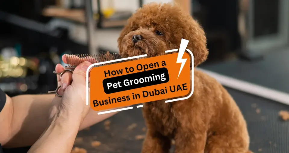 Open a Pet Grooming Business in Dubai UAE