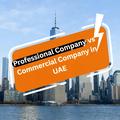 Professional Company vs Commercial Company in UAE