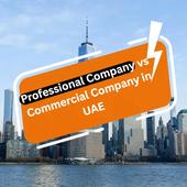 Professional Company vs Commercial Company in UAE