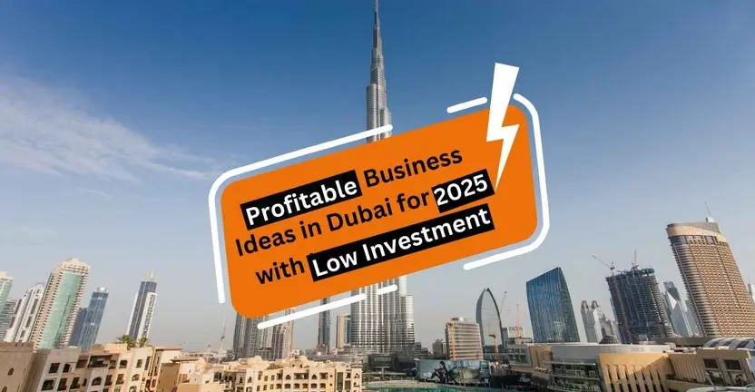 Low Investment Profitable Business Ideas In Dubai