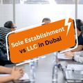 Sole Establishment vs LLC in Dubai