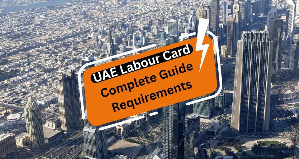 UAE Labour Card 2025 Complete Guide Requirements Status and Application