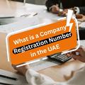 Company Registration Number in UAE: How to Find It