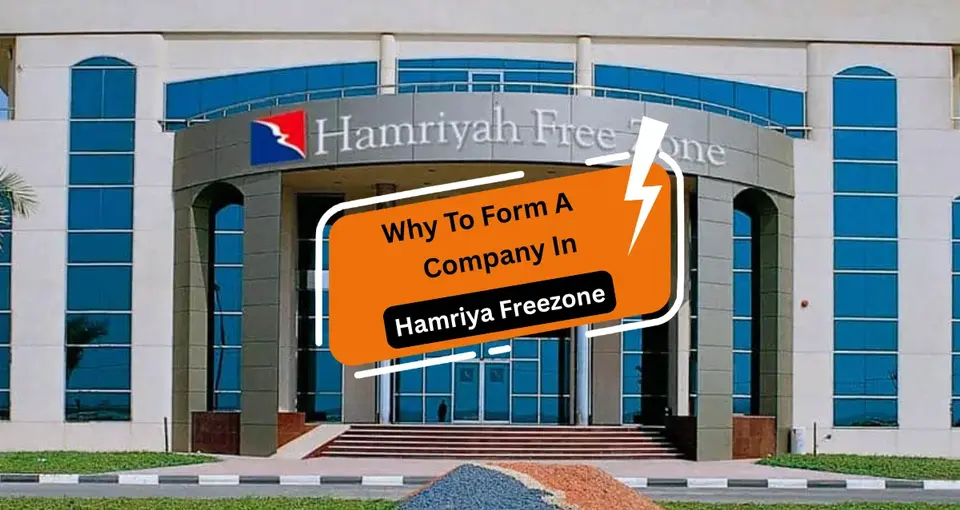 Why to Form a Company in Hamriya Freezone