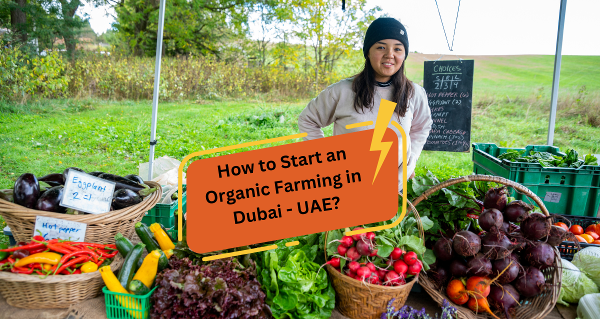 How to Start an Organic Farming in Dubai - UAE